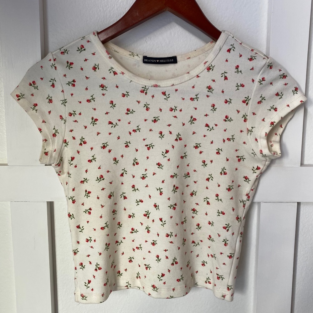 Brandy Melville crop top